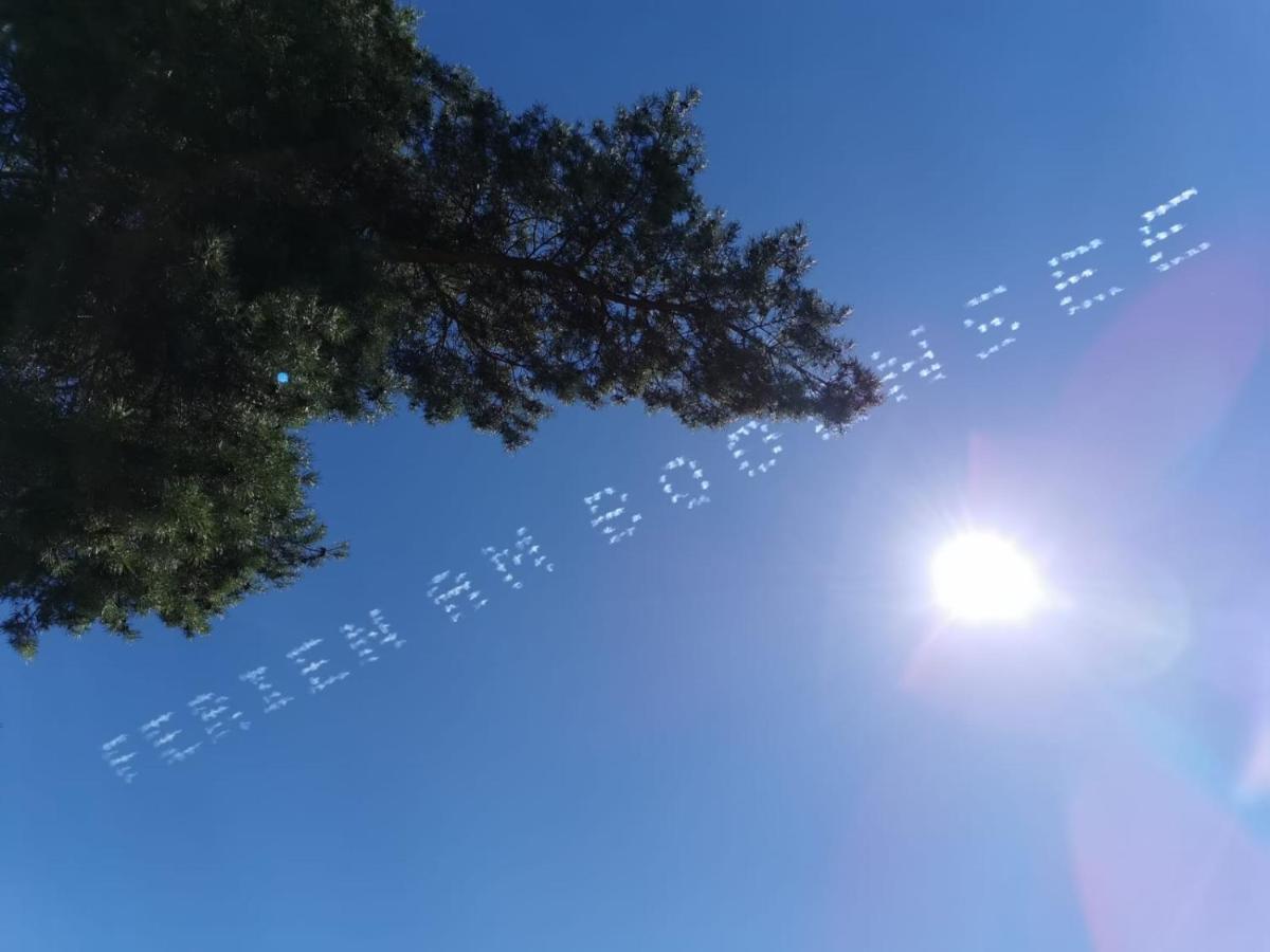Gaestehaus Zum Landesteg Immenstaad am Bodensee Εξωτερικό φωτογραφία