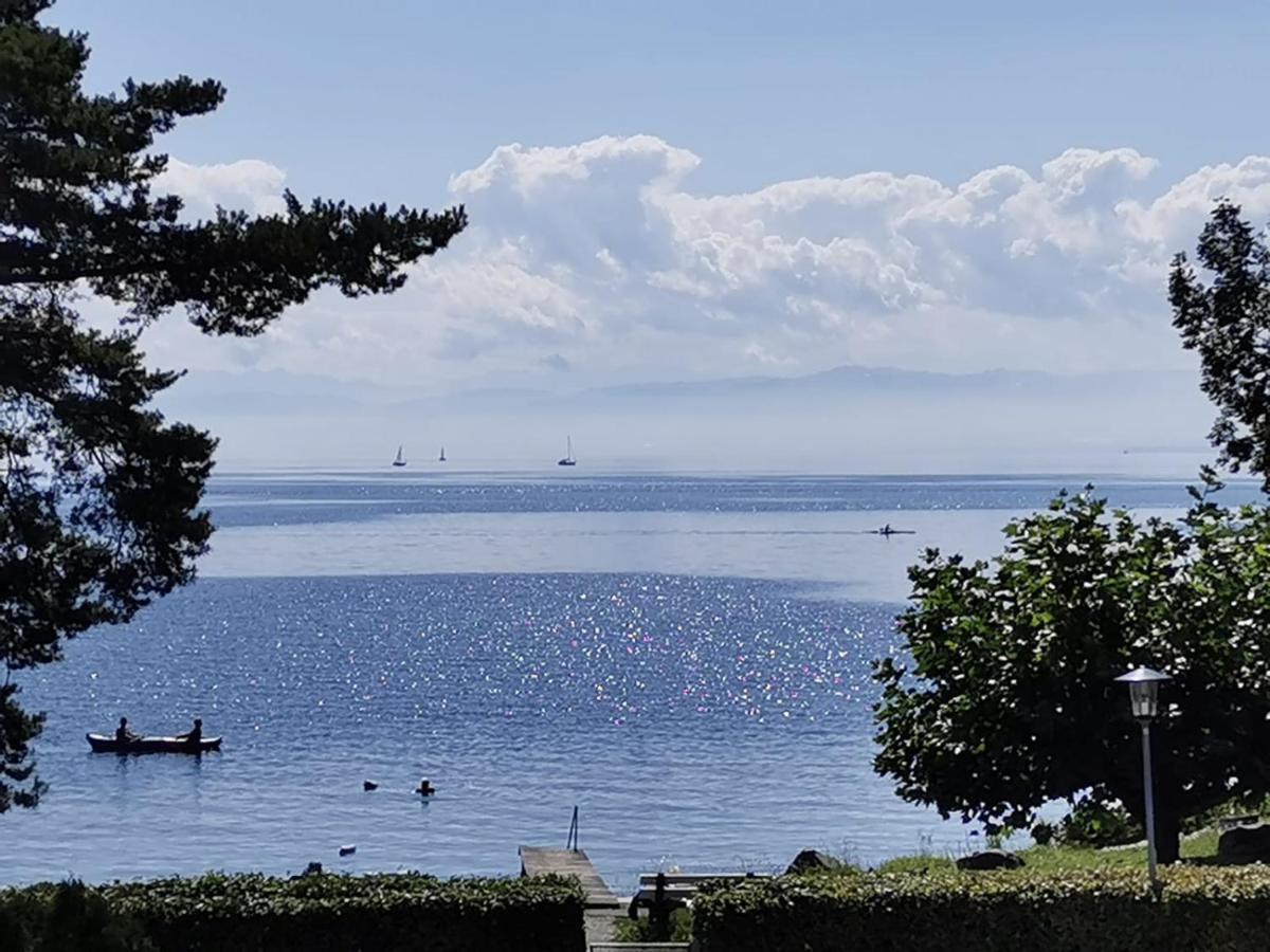 Gaestehaus Zum Landesteg Immenstaad am Bodensee Εξωτερικό φωτογραφία