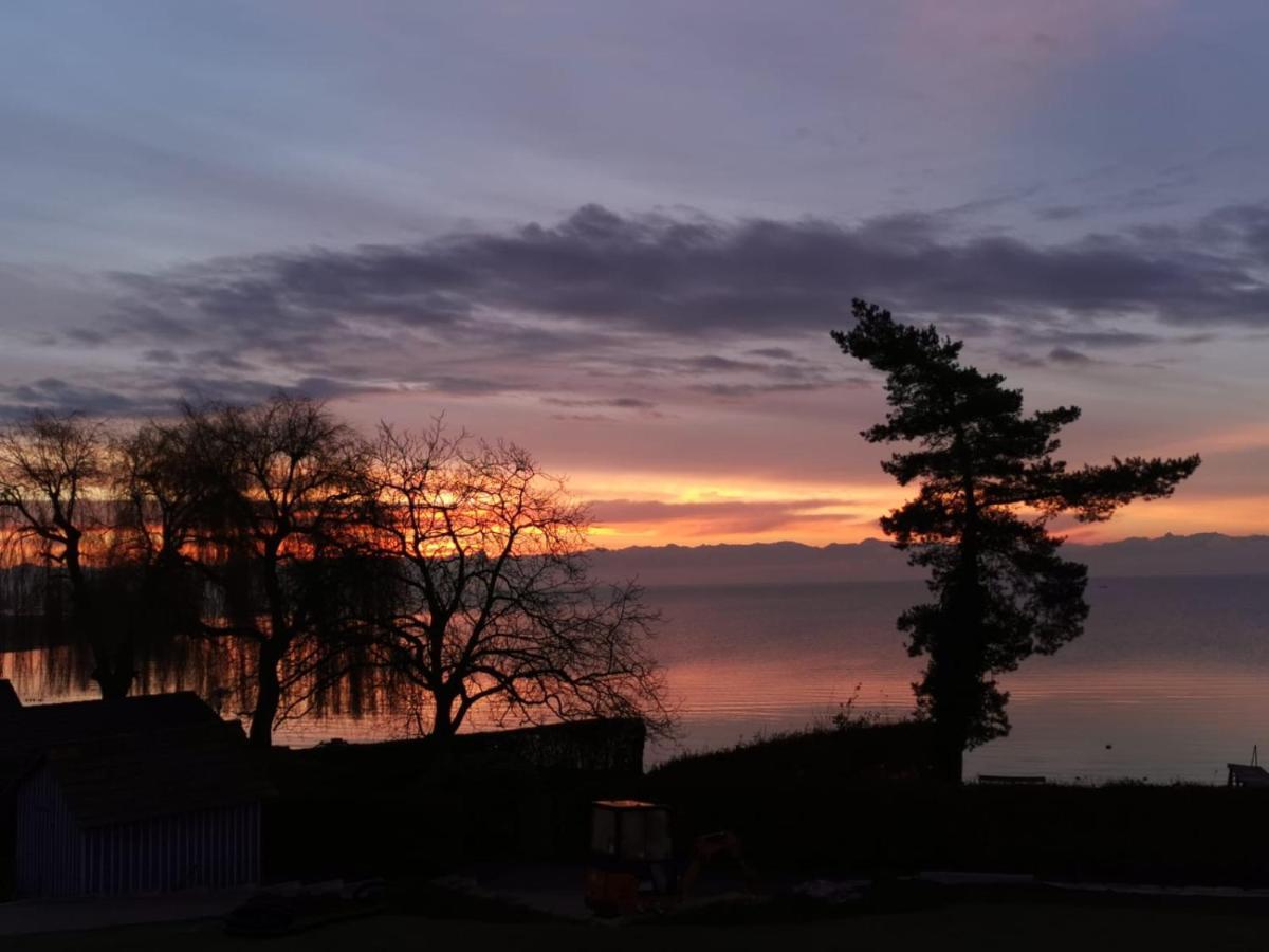 Gaestehaus Zum Landesteg Immenstaad am Bodensee Εξωτερικό φωτογραφία